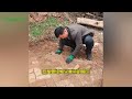 man living alone renovating old house and garden