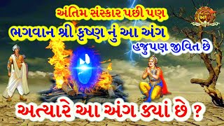 અંતિમ સંસ્કારમાં નહોતું સળગ્યું ભગવાન શ્રી કૃષ્ણ નું આ અંગ અત્યારે આ અંગ ક્યાં છે ?  #Krishna2022