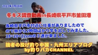 【投げ釣り】2023年3月11日　冬キス調査釣行in長崎県平戸市釜田港