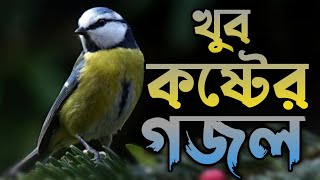 খুব কষ্টের একটি গজল কতো টাকা হইলে তুমি মরবে না || Bangla new Gojol 2022 || Gojol 2022 || Notun Gojol