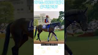 라이스샤워의 비밀에 대해 알아보자 #shorts #말딸 #우마무스메 #라이스샤워