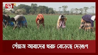 সার-ডিজেল, কীটনাশকসহ আবাদে খরচ বাড়লেও লাভের আশা চাষিদের | News | Ekattor TV