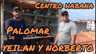 ENTREVISTA A YEILAN Y NORBERTO (CENTRO HABANA)