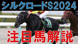 シルクロードS 2024 注目馬解説　高松宮記念につながる注目のレース 京都の馬場状態にも注目