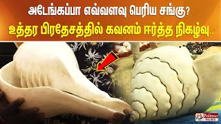 அடேங்கப்பா எவ்வளவு பெரிய சங்கு? உத்தர பிரதேசத்தில் கவனம் ஈர்த்த நிகழ்வு..