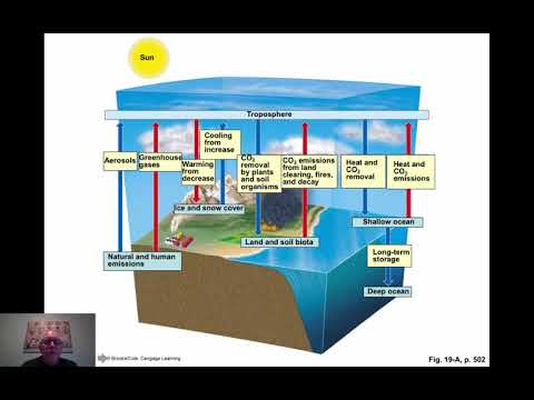 Apes Chapter 19 Youtube