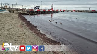 MARMARA DENİZİ’NDE KIZIL YOSUN AKINTISI SÜRÜYOR