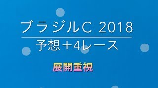 【競馬予想】 ブラジルカップ 2018 予想 北野特別 甲斐路S  桂川S なでしこ賞