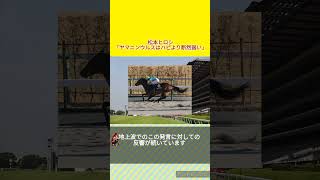 松本ヒロシ「ヤマニンウルスはハピより断然弱い」　#競馬