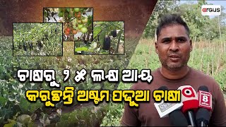 ଚାଷରୁ ବାର୍ଷିକ ୨୫ ଲକ୍ଷ ଟଙ୍କା ଆୟ || Good News || Vegetable Farming