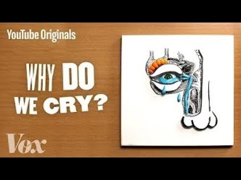 Why Do We Cry? - YouTube