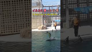 【No.66】水族館♯4 （城崎マリンワールド）イルカに乗った少年！(; ﾟ ﾛﾟ)ﾅﾝ!( ; ﾛﾟ)ﾟ ﾃﾞｽ!!( ; ﾛ)ﾟ ﾟﾄｰ!!!