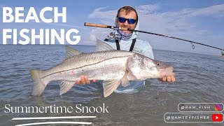 Snook Fishing Sanibel Island Beaches | Plus RARE Sawfish and Raided Sea Turtle Nest!