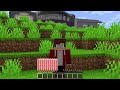 jj have infinite hearts and prank mikey in minecraft maizen