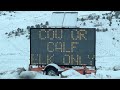 the national elk refuge jackson wyoming december 2022