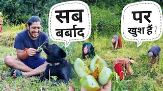 यही है पहाड़ की असली जिंदगी || Pahadi Lifestyle Vlog || Pahad Wale Bhaiya.