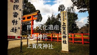 京都の旅／世界文化遺産／下鴨神社・上賀茂神社2021