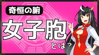 【中医学基礎＃３５】初心者のための７分で分かる「女子胞」の基礎と病証【東洋医学入門】