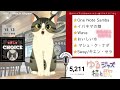 ゆるジャズ ねこ喫茶 初見様リクエスト一曲どうぞ♪ プロシンガー jazz soul bossa vocal radio bgm chill cat