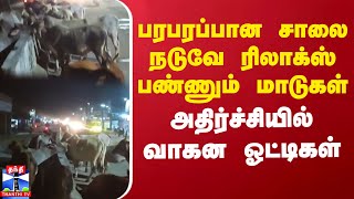 பரபரப்பான சாலை நடுவே ரிலாக்ஸ் பண்ணும் மாடுகள்... அதிர்ச்சியில் வாகன ஓட்டிகள் | Madurai