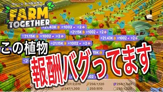 ファームトゥギャザー金策といえば間違いなくコレ！！お金も経験値もがっぽり稼げるやべぇ花見つけたｗｗｗｗ