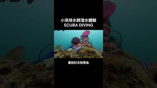 小琉球水肺潛水體驗scuba diving