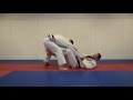 Arashi Do Behring Foot on Hip Guard Curriculum 4   sweeps