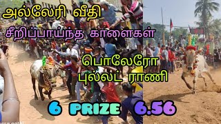 ✨ அல்லேரி வீதியில் 🤗 சீறிப்பாய்ந்த காளைகள் 😇 பொலேரோ‌ புல்லட் ராணி 6 prize 6.56 💥