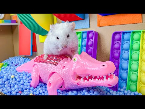 Hamster Escape Maze – Hamster Cute pets Maze #hamsterescape #mazediytraps #hamsterescape #173
