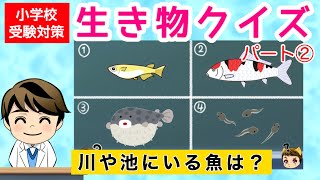 【小学校受験対策】生き物２ 一般常識クイズ9