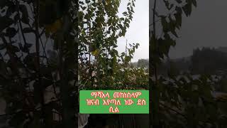 ማሻአላህ የበጋ ዝናብ በመከነሰላም አካባቢዎች