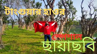 টাংগুয়ার হাওরে ছায়াছবি । Tanguar Haor Cinema । করচ হিজলের বনে হাড়াই আনমনে।Beautiful Tanguar Haor.