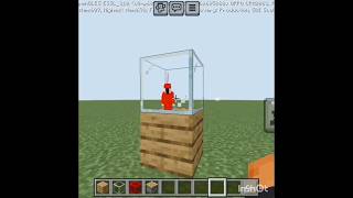 Parrot in glass cage #minecraft #🥺 #music