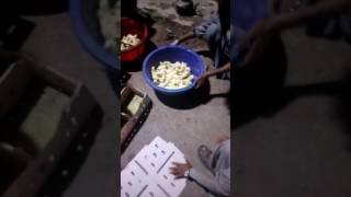 How they colour Chick's in Market  | Very painful process for colorful chicks