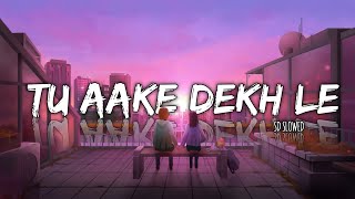 Tu aake dekhle ( slowed + reverb )