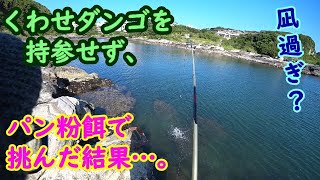 【三浦半島】「小サバ軍団＆クサフグ軍団 VS パン粉餌」【2021年5月下旬】