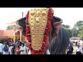 cherai pooram chirakkal kalidasan puthupilly keshavan കാളിയും കേശവനും ചെറായി പൂരത്തിൽ 😍