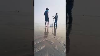 ฝรั่งหาหอย พึ่งรู้ว่าเขาทำแบบนี้ How do they find clams #short