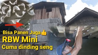 Panen Lagi di Rbw mini dinding seng 3x5 2 lantai~Albar Walet