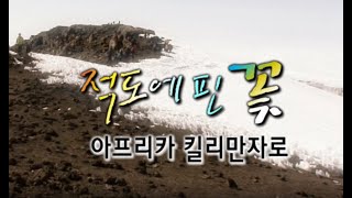 적도에 핀 꽃 킬리만자로 [세계명산트레킹]  KBS 방송(2008.8.17)