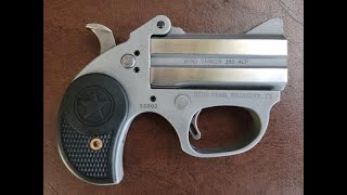 The Stinger RS by Bond Arms