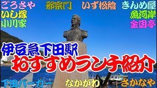 【伊豆旅行】下田のおすすめランチを紹介します。きんめ屋、魚河岸、いし塚、ごろさや、なかがわ、邪宗門、小川家、いず松陰、道の駅 開国下田みなと、金目亭、さかなや、Ra-maru、ラマル、下田バーガー