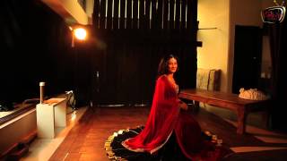 Telly Calendar 2013 - Ragini Khanna