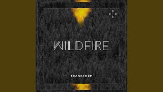 Wildfire (Kevin Aleksander Remix)