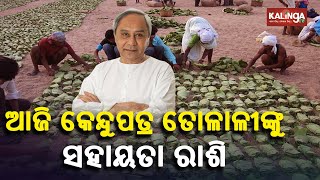 CM to distribute financial assistance to nearly 8 lakh people associated with kendu leaf trade