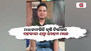 ଗିରଫ ହେଲେ ମାଲକାନଗିରି ଜଳ ବିଭାଜିକା ଉପ ନିର୍ଦ୍ଦେଶକ | Arrest | Vigilance Raid | Bribery Case | Argus News