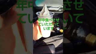 ミニストップのソフトクリーム(^_^)美味しいです