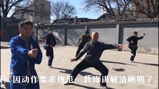 陈世武老师 2019年2月