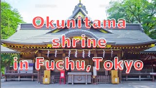 Walk in Okunitama shrine in fuchu, Tokyo_東京 府中市の大國魂神社