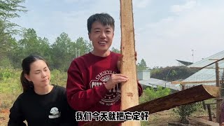 小东北在海哥的带领下，要搬去古村，计划旧房和古村会2边走